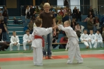 JS_2006_14