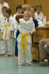 JS_2006_17