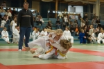 JS_2006_23