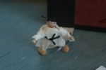 JS_2006_27