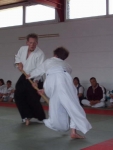 db_aikido_tdot_2002163