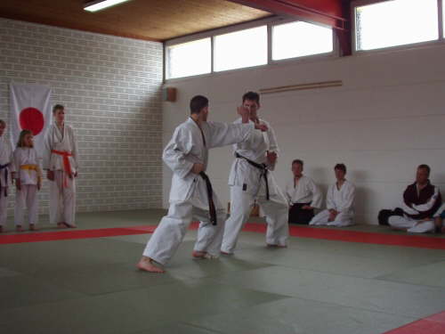 db_karate_tdot_2002143