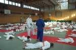 Judo_Safari_2005_04