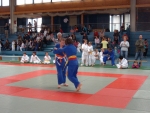 Judo Safari 2010