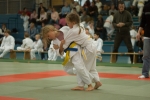 Judo Safari 2006